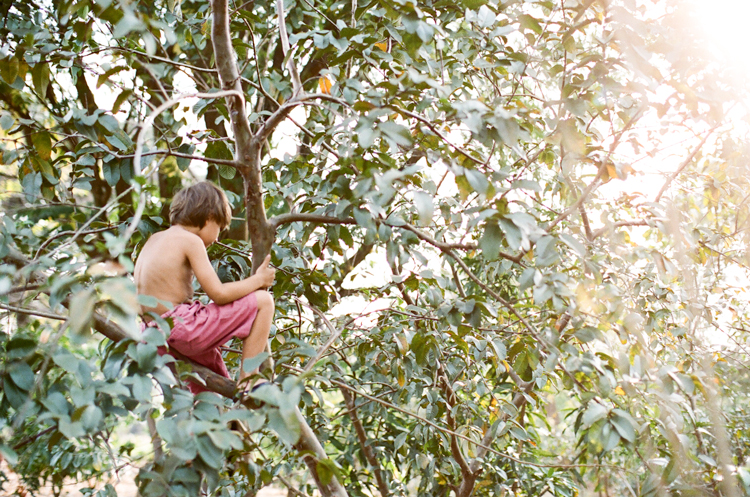 forest and boy, Hasselblad 501 C, Canon EOS-3, expat kids, french school