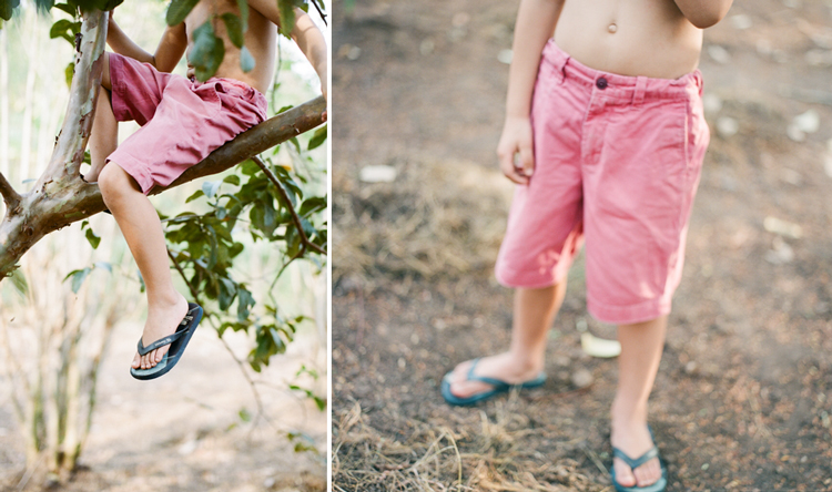 forest and boy, Hasselblad 501 C, Canon EOS-3, expat kids, french school