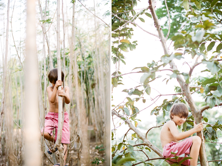 forest and boy, Hasselblad 501 C, Canon EOS-3, expat kids, french school