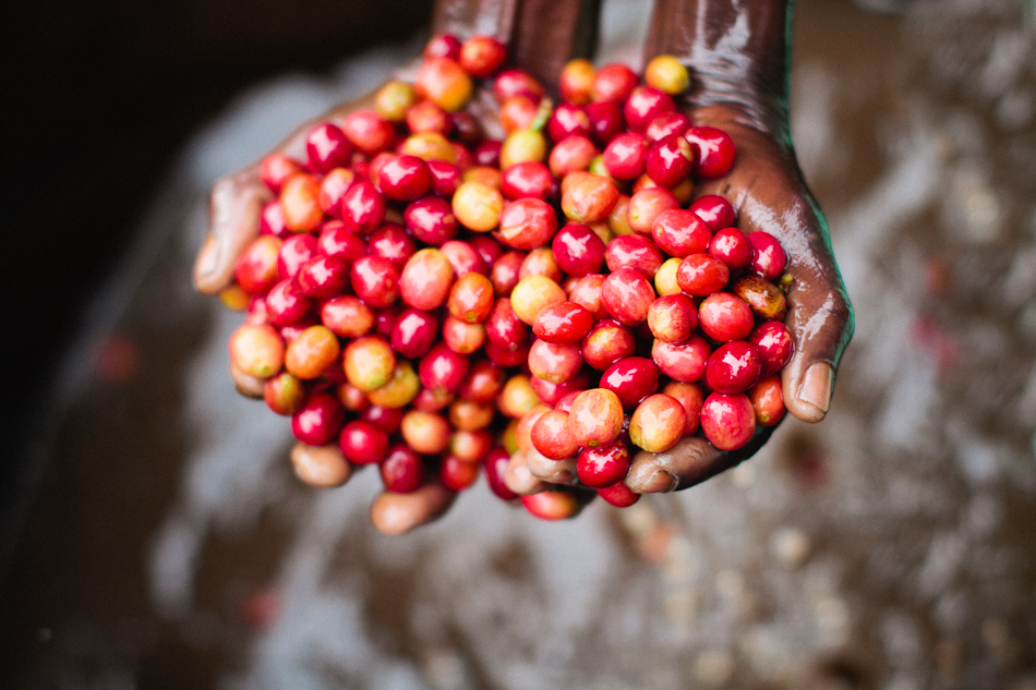 long miles coffee project