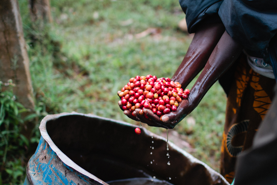 long miles coffee project