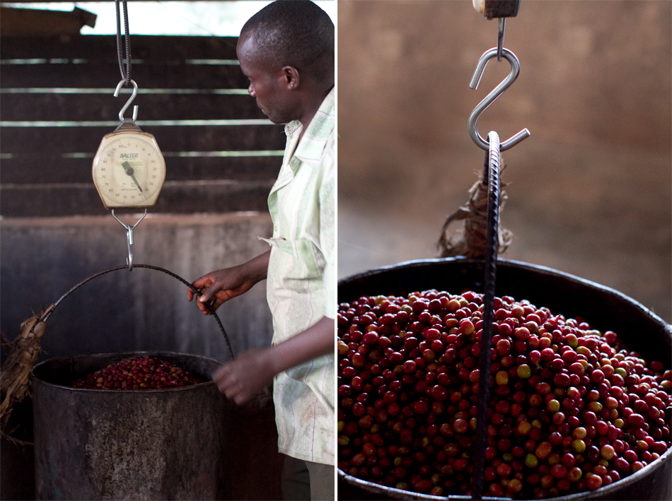 long miles coffee project