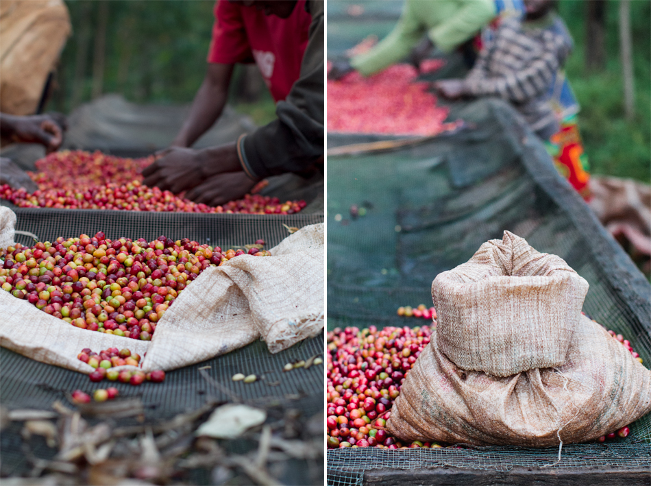 long miles coffee project