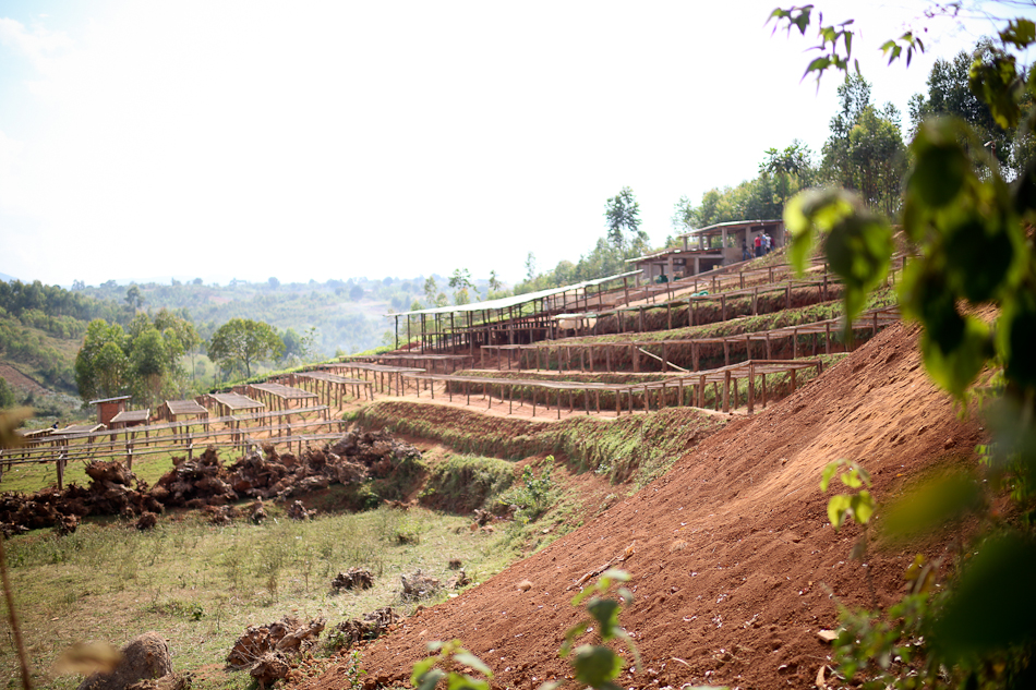 Burundi coffee, Burundi coffee farmers, coffee farms, Burundi coffee washing station, coffee washing station, long miles coffee project