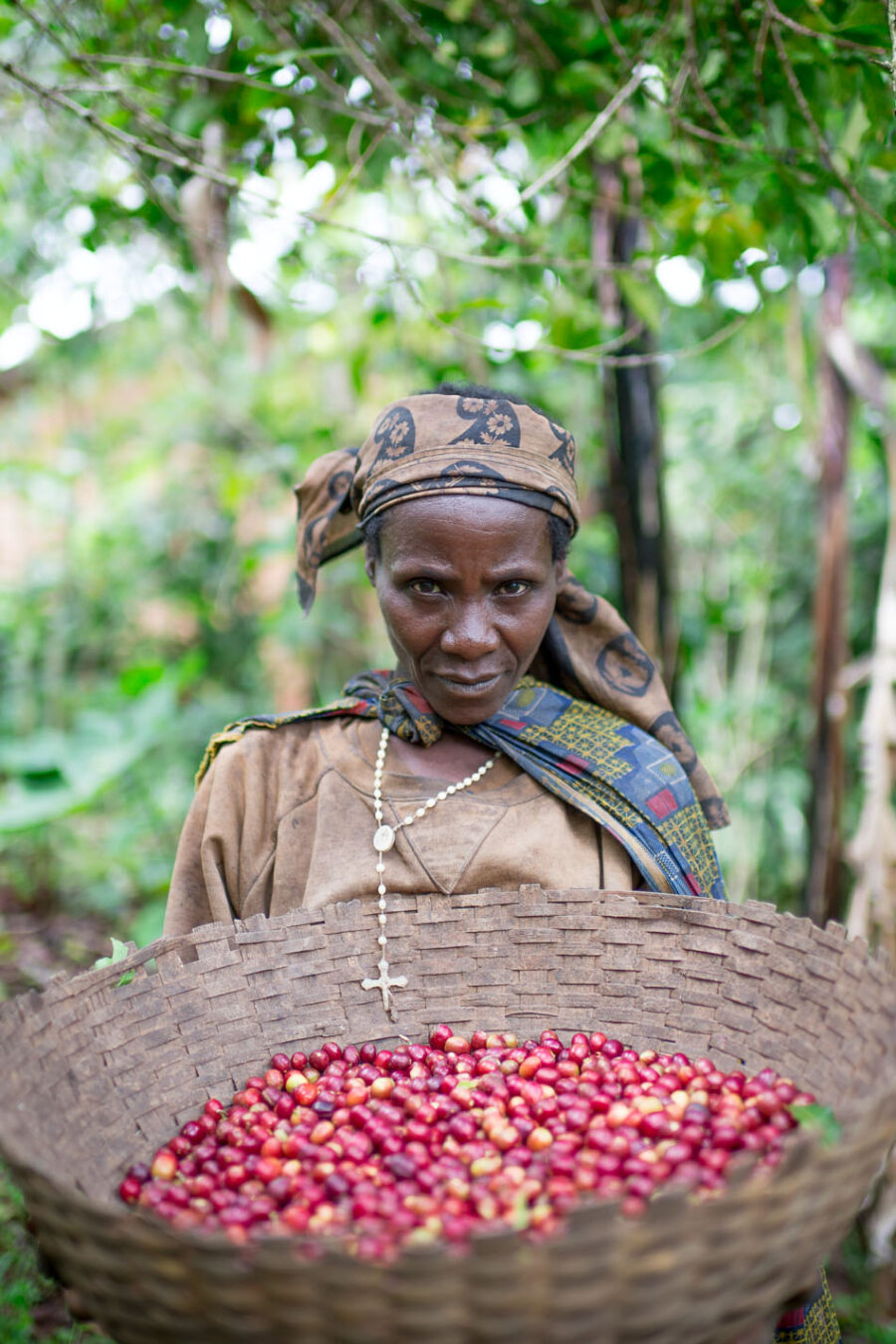 burundi coffee, coffee washing station, coffee cherries, coffee harvest