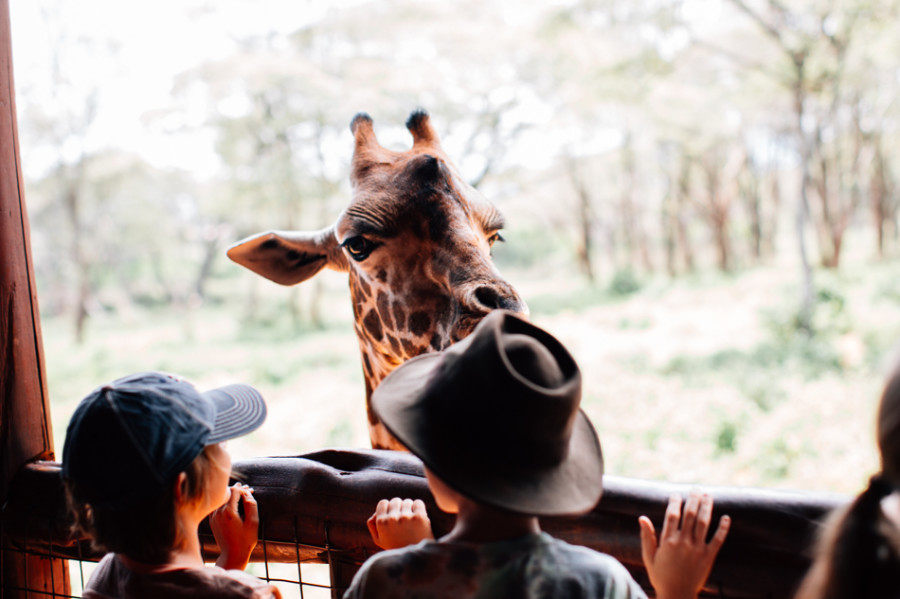 long miles coffee project, things to do with kids in nairobi, fun things to do in nairobi, nairobi game park, elephant orphanage, nairobi giraffe center