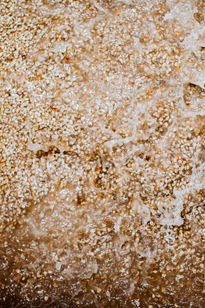 Dynamic image of coffee parchment getting washed in water