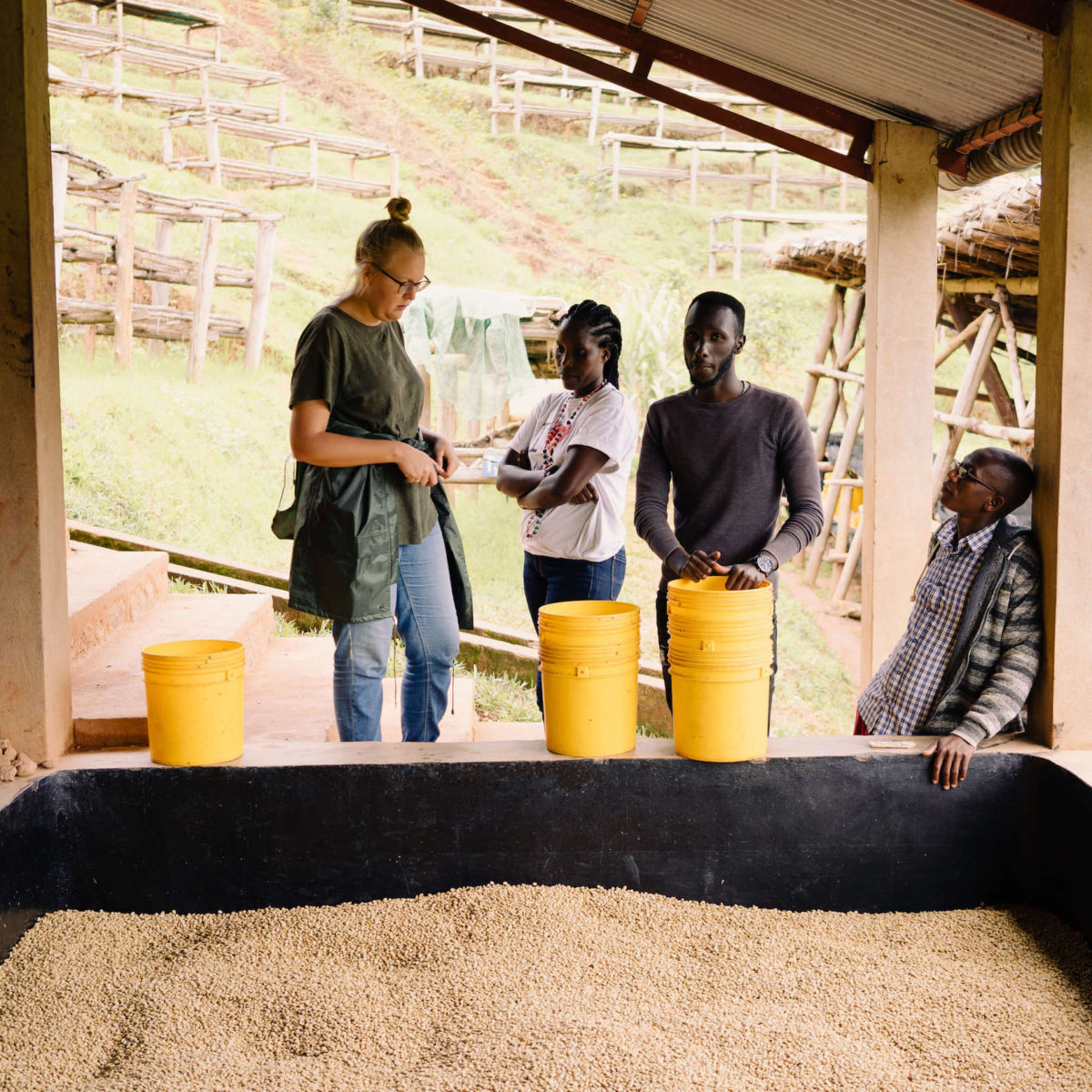 Long Miles Coffee team standing alongside soaking tank with fermenting coffee parchment